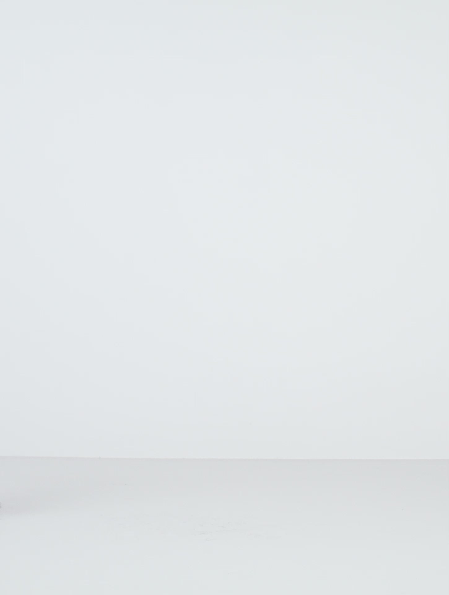 a female model wearing yvy black round bag, yvy white cotton shirt and a midi skirt